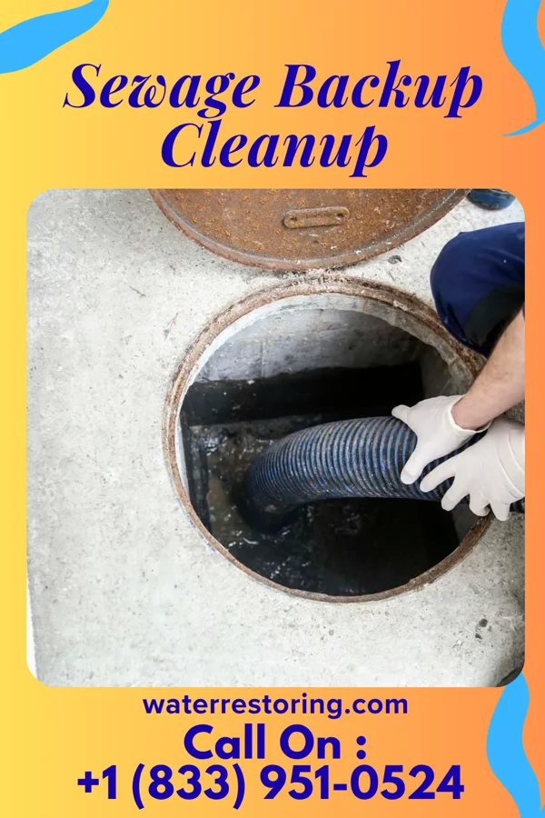 Sewage Backup Cleanup in Batesville, MS